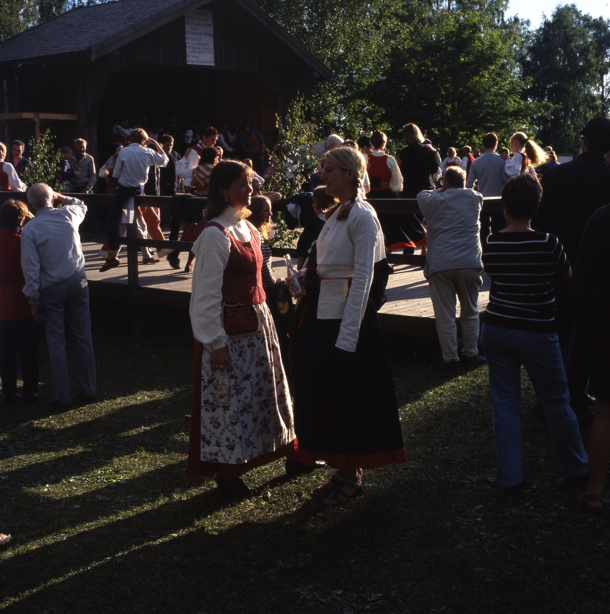 Delsbostämman 1 juli 2001. - Hälsinglands Museum  